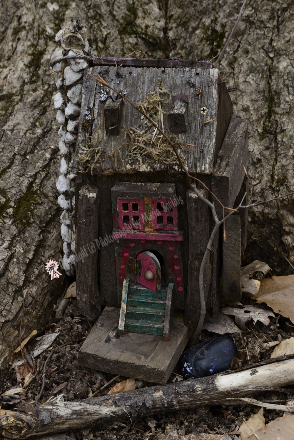 Fairy Trail, Rahway River Trail, South Mountain Reservation, Millburn, NJ