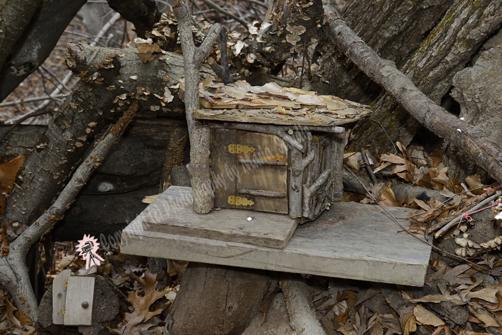 Fairy Trail, Rahway River Trail, South Mountain Reservation, Millburn, NJ