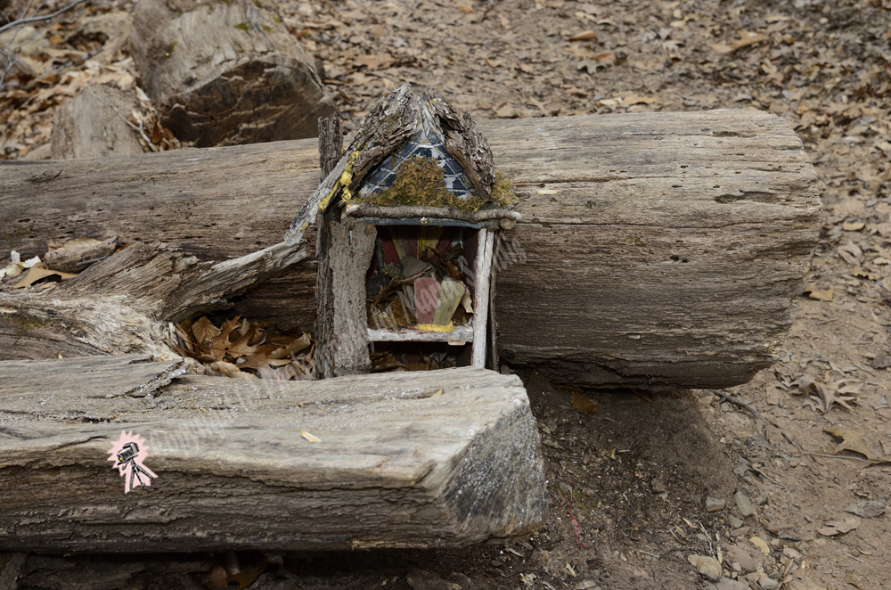 Fairy Trail, Rahway River Trail, South Mountain Reservation, Millburn, NJ