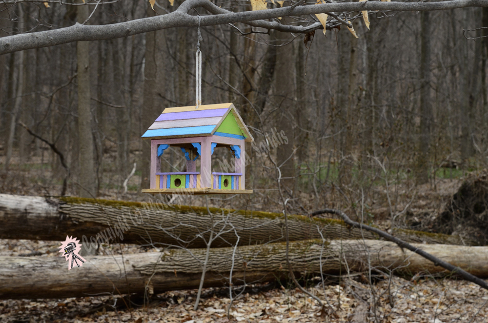 Fairy Trail, Rahway River Trail, South Mountain Reservation, Millburn, NJ