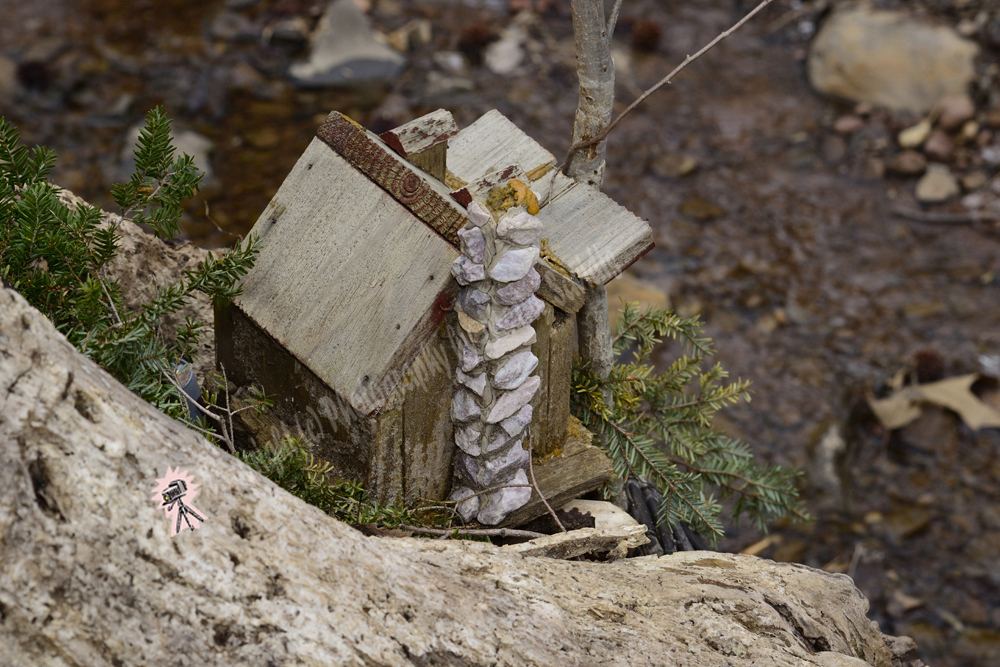 Fairy Trail, Rahway River Trail, South Mountain Reservation, Millburn, NJ