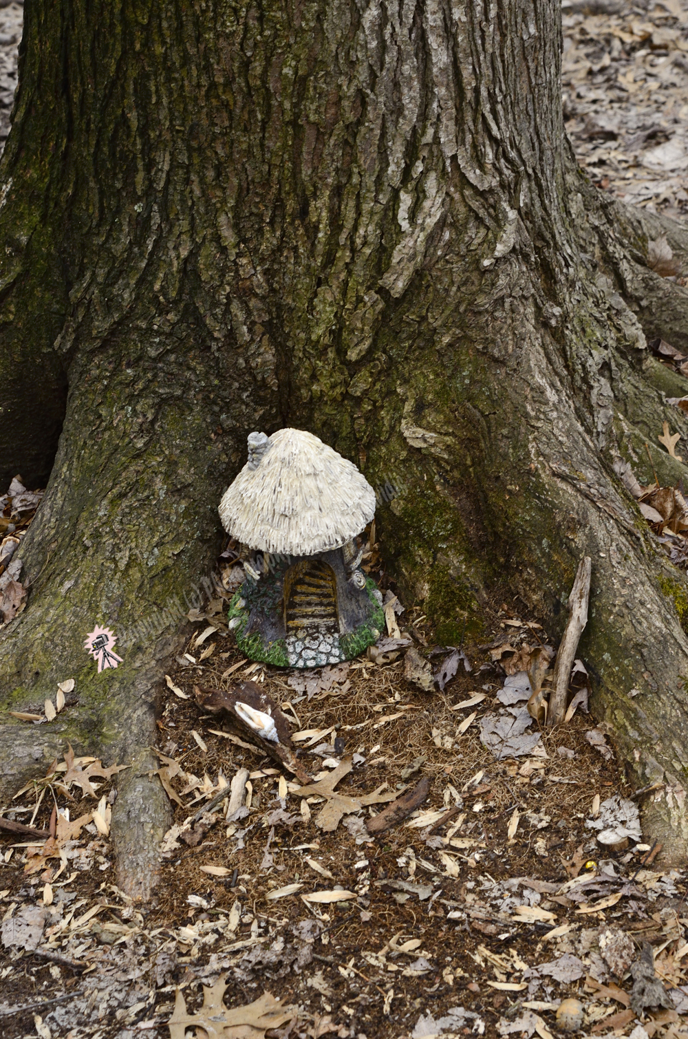 Fairy Trail, Rahway River Trail, South Mountain Reservation, Millburn, NJ