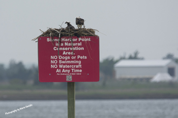 Stone Harbor Point, New Jersey, USA