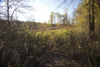 Watchung Reservation, Mountainside, NJ 2016-8ds_0019