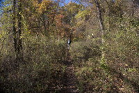 Watchung Reservation, Mountainside, NJ 2016-8ds_0020