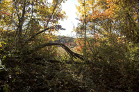 Watchung Reservation, Mountainside, NJ 2016-8ds_0022