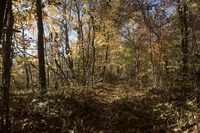 Watchung Reservation, Mountainside, NJ 2016-8ds_0023