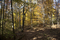 Watchung Reservation, Mountainside, NJ 2016-8ds_0025
