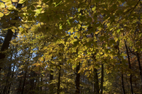 Watchung Reservation, Mountainside, NJ 2016-8ds_0026