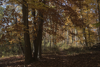 Watchung Reservation, Mountainside, NJ 2016-8ds_0027