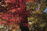 Watchung Reservation, Mountainside, NJ 2016-8ds_0034