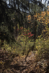 Watchung Reservation, Mountainside, NJ 2016-8ds_0035