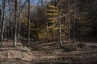 Watchung Reservation, Mountainside, NJ 2016-8ds_0041
