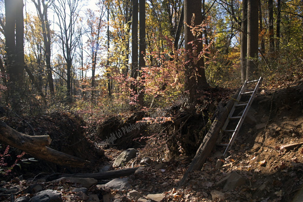 Autumn in Watchung Reservation, Union County, NJ