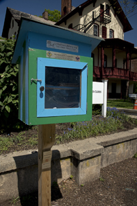 West Orange, NJ 2017-8ds-1699 Little Free Library