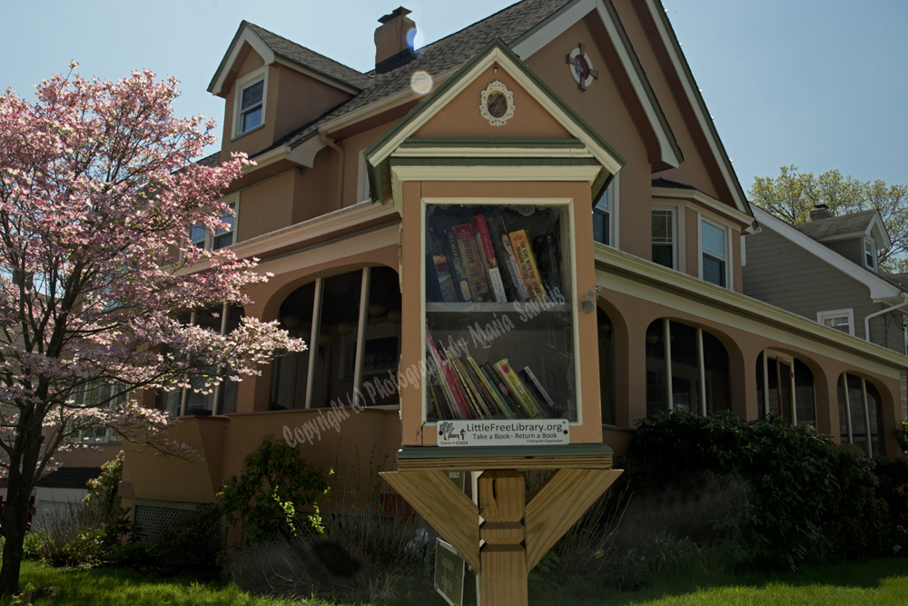 Little Free Library, West Orange, NJ
