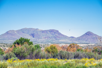 Photographs of Bosque Del Apache, New Mexico, USA