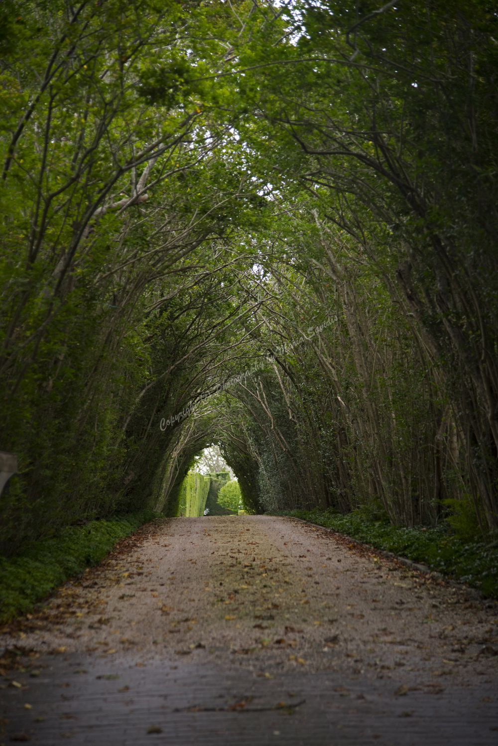 East Hampton, The Hamptons, Long Island, NY 2017