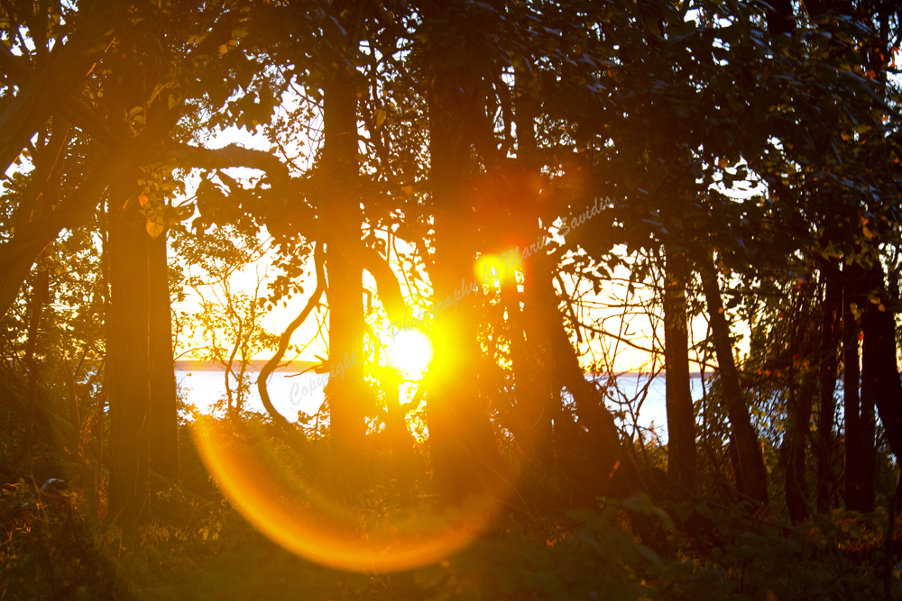 Sag Harbor, The Hamptons, Long Island, NY 2017