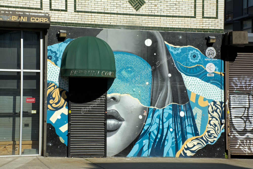 Williamsburg, Brooklyn, New York City, NY