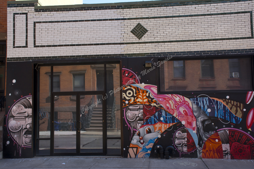 Williamsburg, Brooklyn, New York City, NY