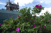 Williamsburg, Brooklyn 2017-71D-4089