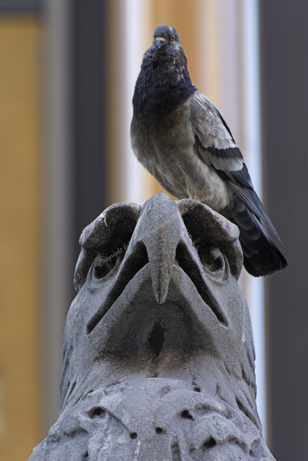 Midtown Manhattan, New York City, NY 2018