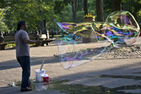 Central Park, New York City, NY 2015-0496