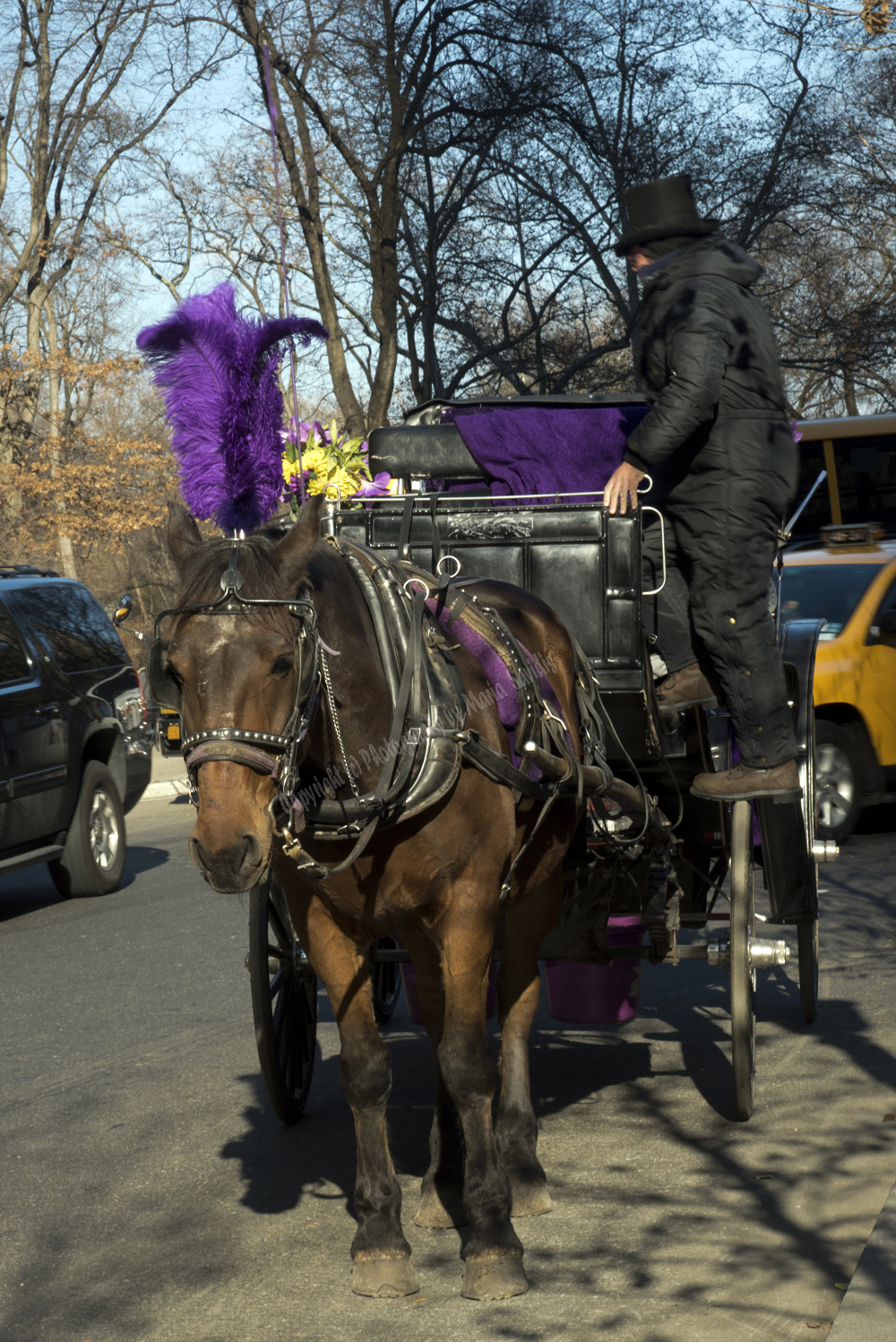 Midtown Manhattan, New York City, NY 2016