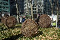 Midtown Manhattan, New York City, NY, 2016-8ds_0367