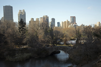 Central Park, New York City, NY 2016-sds_0407