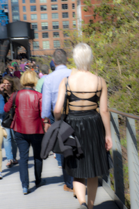 High Line, New York City, NY 2016-8771