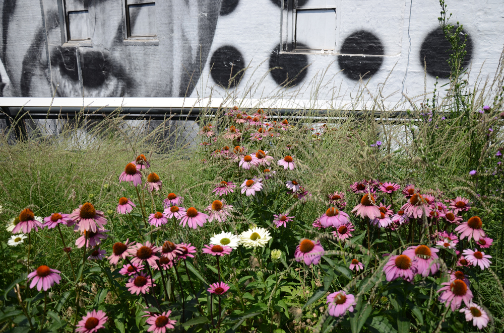 New York City Highline