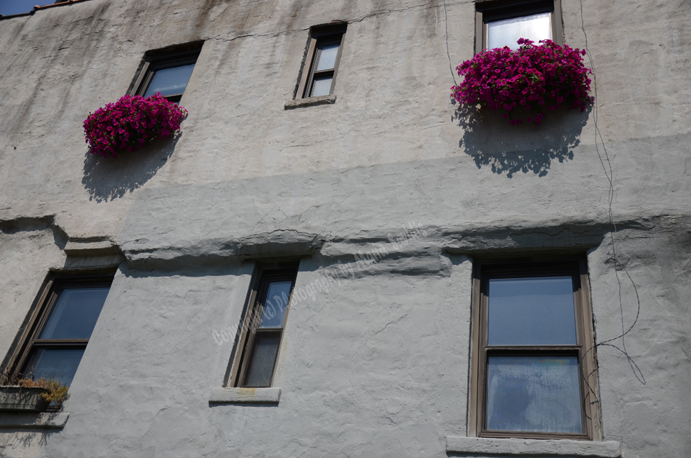 New York City Highline