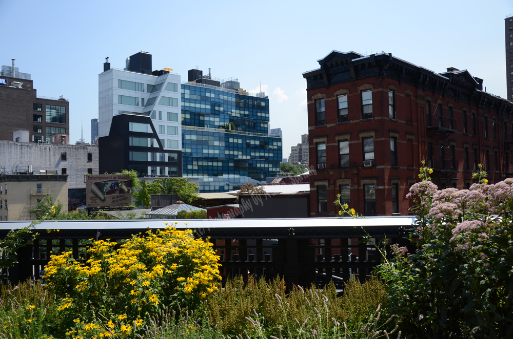 New York City Highline