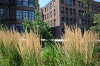 High Line, New York City, NY 2012-0592