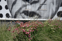 High Line, New York City, NY 2012-0595