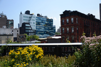 High Line, New York City, NY 2012-0623