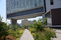 High Line, New York City, NY 2012-0641