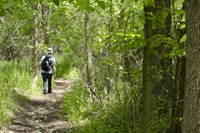 Greenbelt, Staten Island, NY 2017-70d-7716