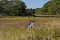 Shelter Island, The Hamptons, NY 2017-71D-6867