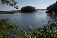 Shelter Island, The Hamptons, NY 2017-71D-6872