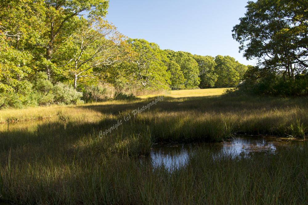 Shelter Island, The Hamptons, Long Island, NY 2017