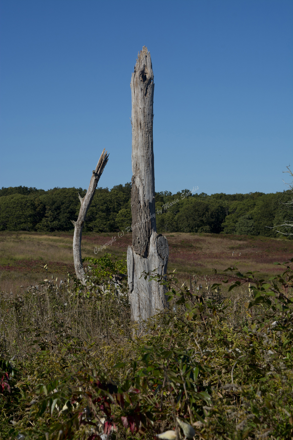 Shelter Island, The Hamptons, Long Island, NY 2017