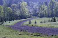 Guilford, Leather Stocking Region, NY 2016-2890