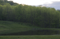 Guilford, Leather Stocking Region, NY 2016-9369