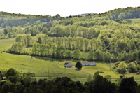 Guilford, Leather Stocking Region, NY 2016-9394