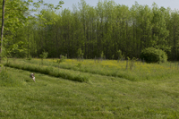 Guilford, Leather Stocking Region, NY 2016-9404