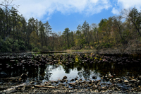 Click here to see photographs of the Delaware Water Gap, Pennsylvania