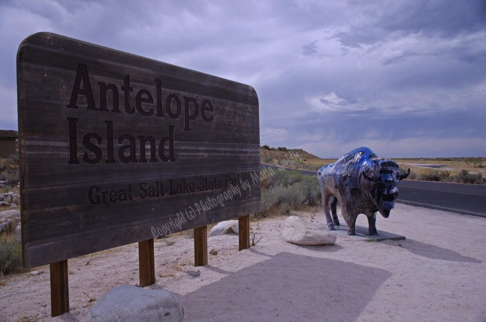 Antelope Island, Salt Lake, Utah 2016